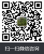 二維碼